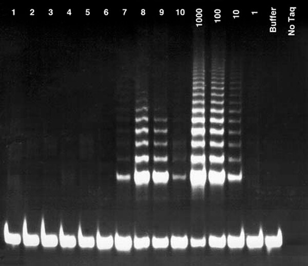 TRAPeze® ELISA Telomerase Detection Kit, strip well plates S7750